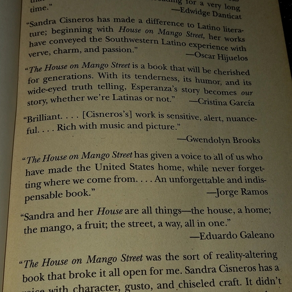 The House on Mango Street - Picture 4 of 4